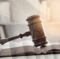 Nařízení proti odlesňování mělo platit už v prosinci, nakonec se ale firem dotkne později