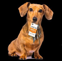 Od mobilu po matraci: Co všechno cestující nechávají ve vlacích