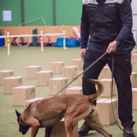 Třicet let Výcvikového zařízení služební kynologie oslavili celníci evropským šampionátem