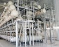 ABB získala zakázku za 40 milionů USD  na ekologickou rozvodnu v Německu