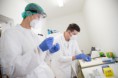 Může antigenní test nahradit metodu PCR? FN Motol v pilotním projektu testuje oběma metodami