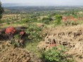 Úspěšné projekty rozvojové spolupráce v Etiopii otevřely České geologické službě dveře k účasti na velkých prestižních projektech financovaných EU