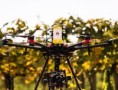Huawei: Chytré zemědělství slibuje menší ekologické zatížení a vyšší výnosy