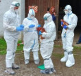 V jižních Čechách probíhá cvičení veterinárního dozoru