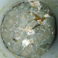 I plíseň, kterou nevidíme, může kontaminovat potraviny rakovinotvornými aflatoxiny